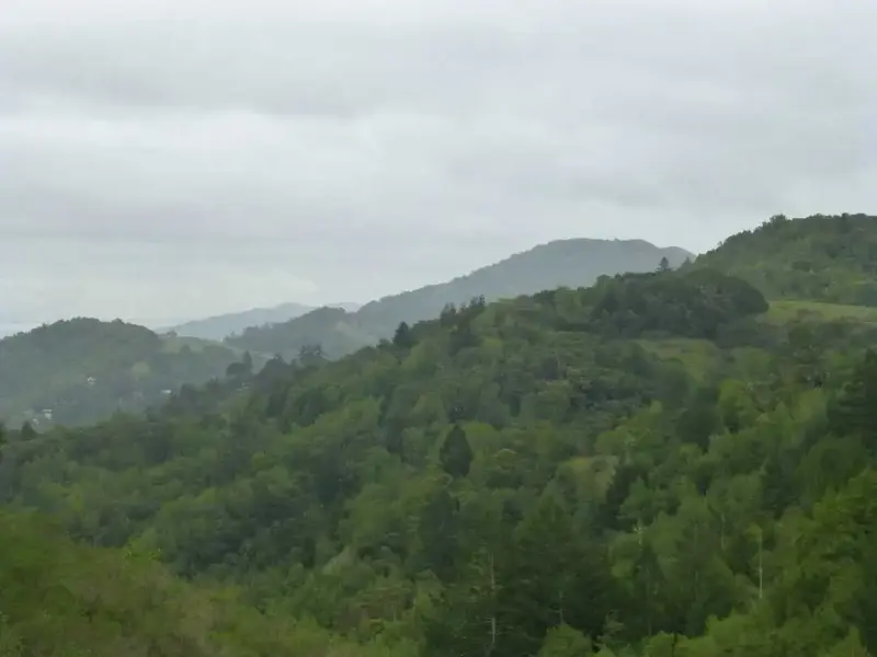 Starting to rain.webp
