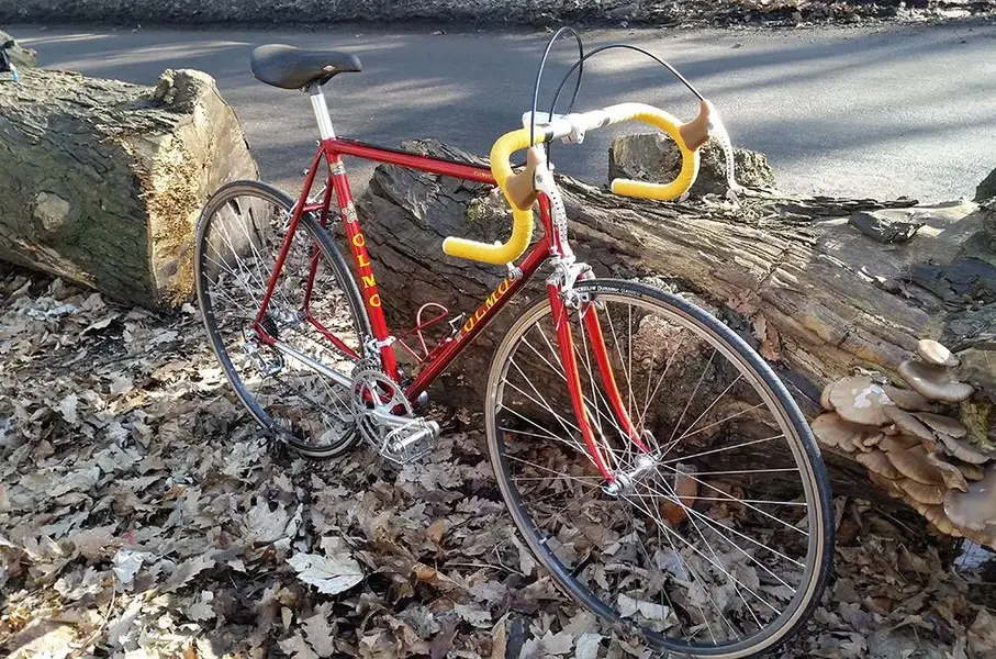 Olmo 80s.webp