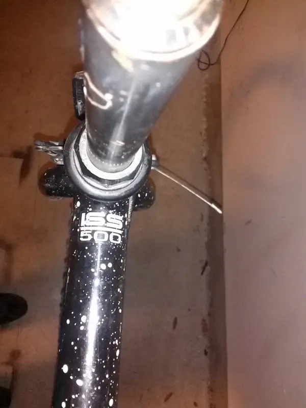 CAM00409.webp