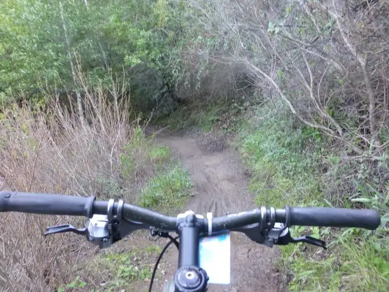 Actual mud.webp