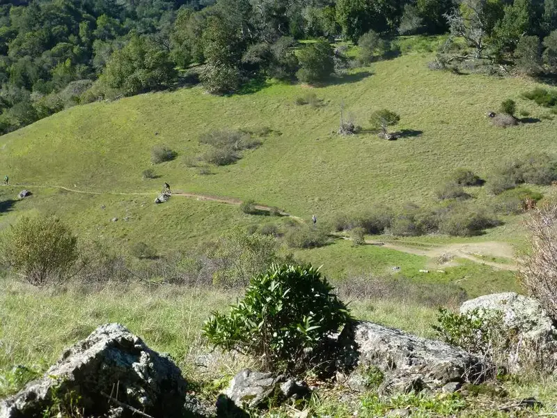 Serpentine Trail.webp
