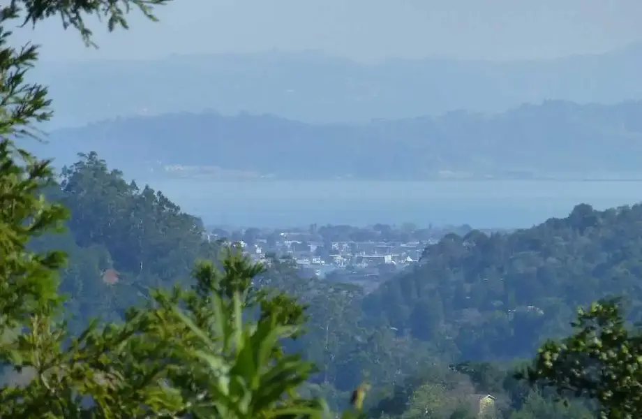 SF Bay.webp