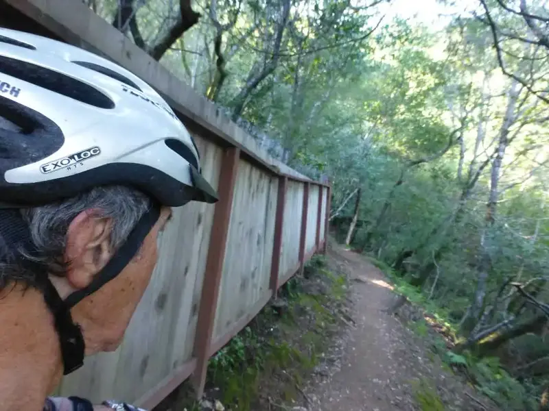 OG Trail start.webp