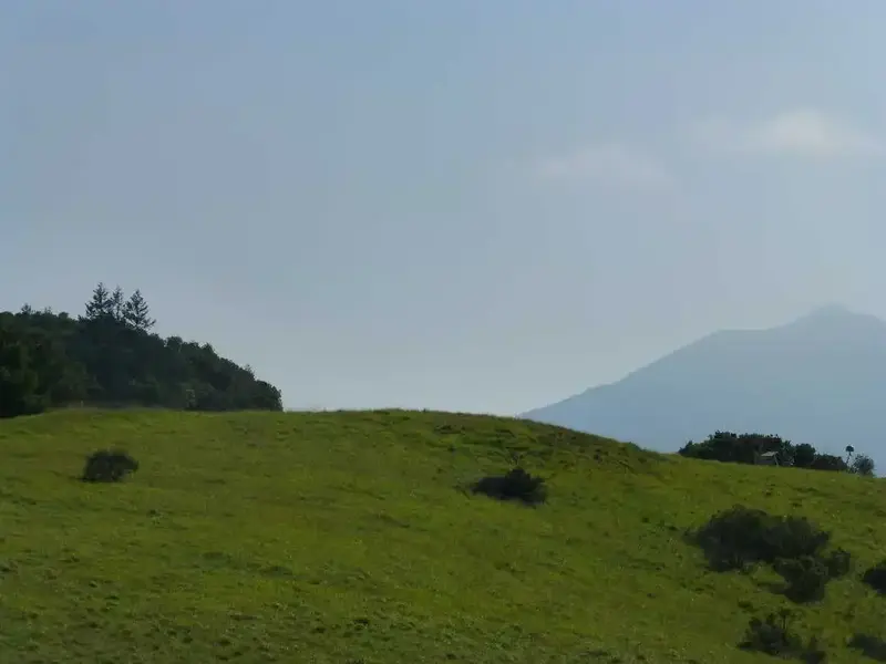Tam in the mist.webp