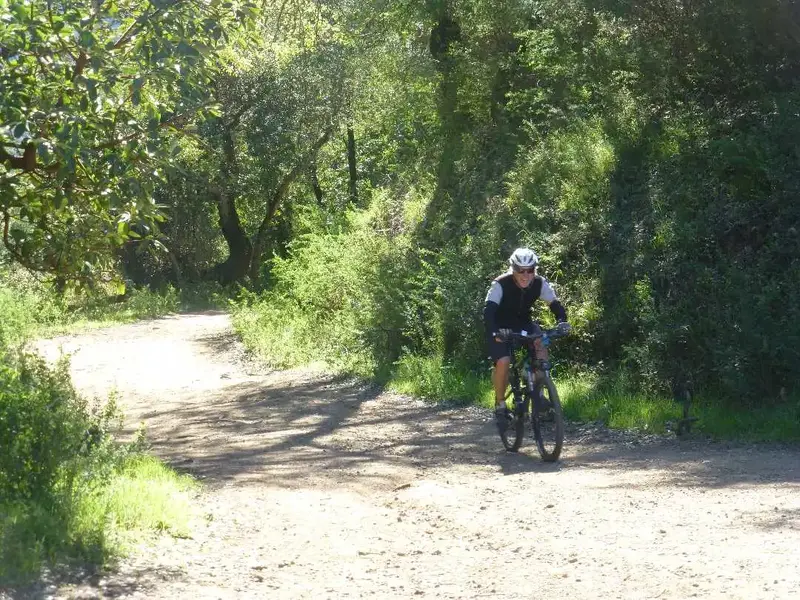 Climbing.webp