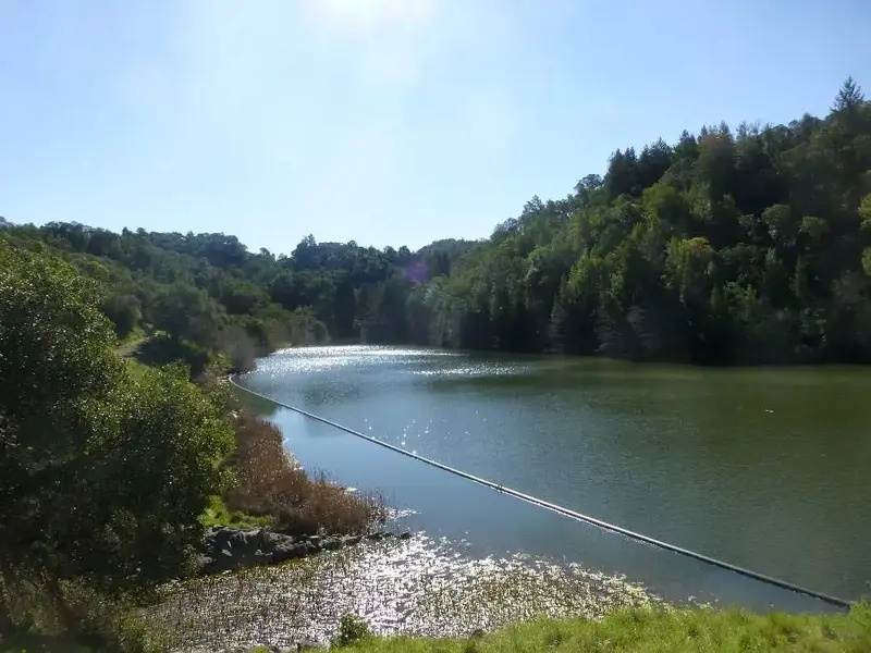 Phoenix Lake.webp