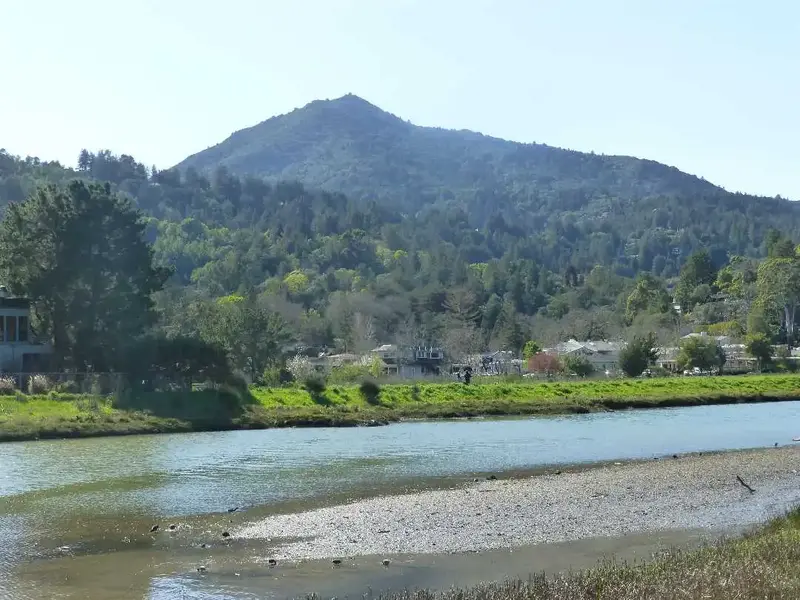 Corte Madera Creek.webp