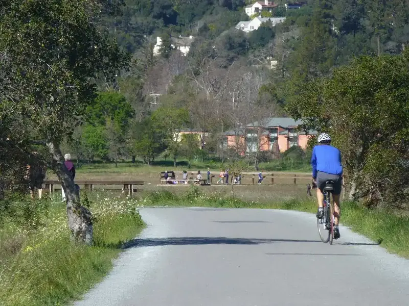 Bike Path.webp