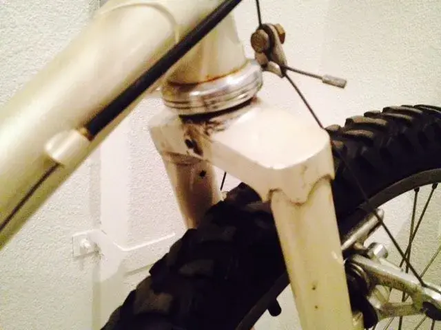 Rear View.webp