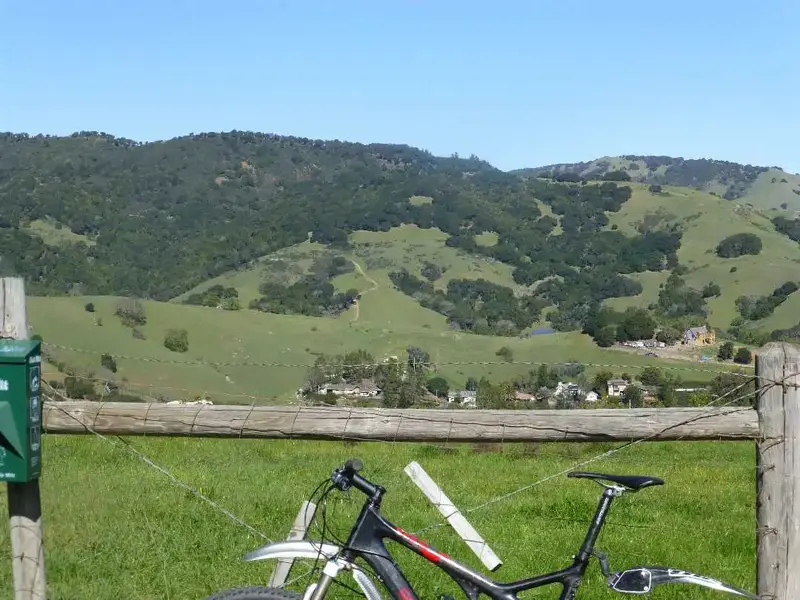 Top of the hill.webp