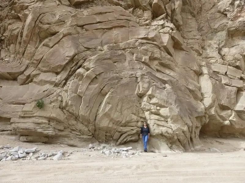 Borrego013.webp