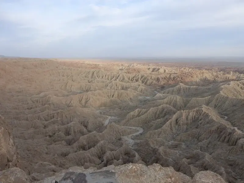 Borrego019.webp