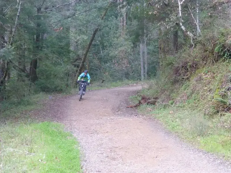 Rippin'.webp