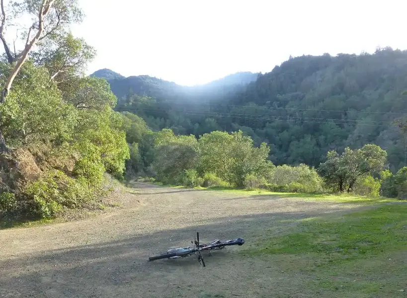 Hippie Hill.webp