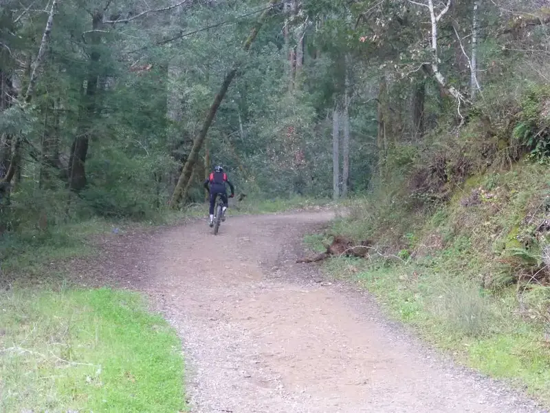 Up Eldridge Grade.webp