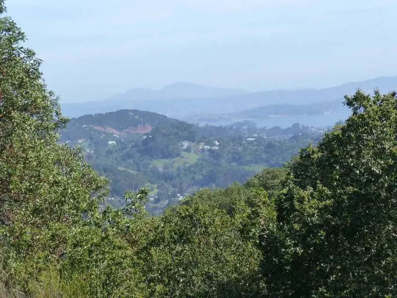 Looking East.webp