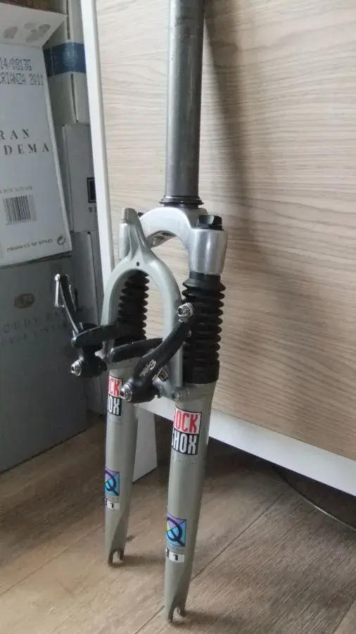Optimized-DSCF3028.webp