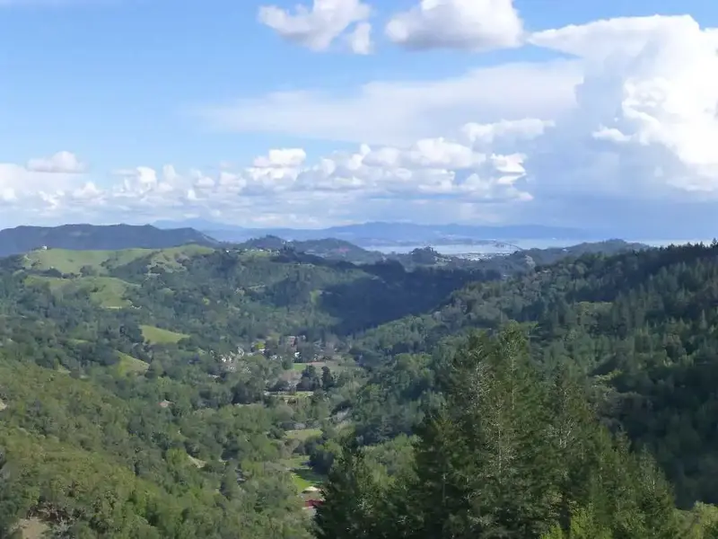 Looking East.webp