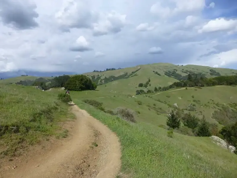 Big Ridge.webp