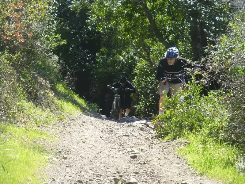Aaron and CK.webp
