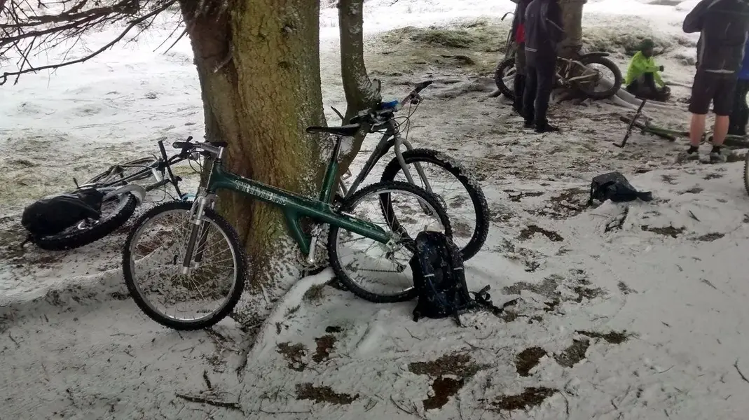 Trimble in the Snow.webp