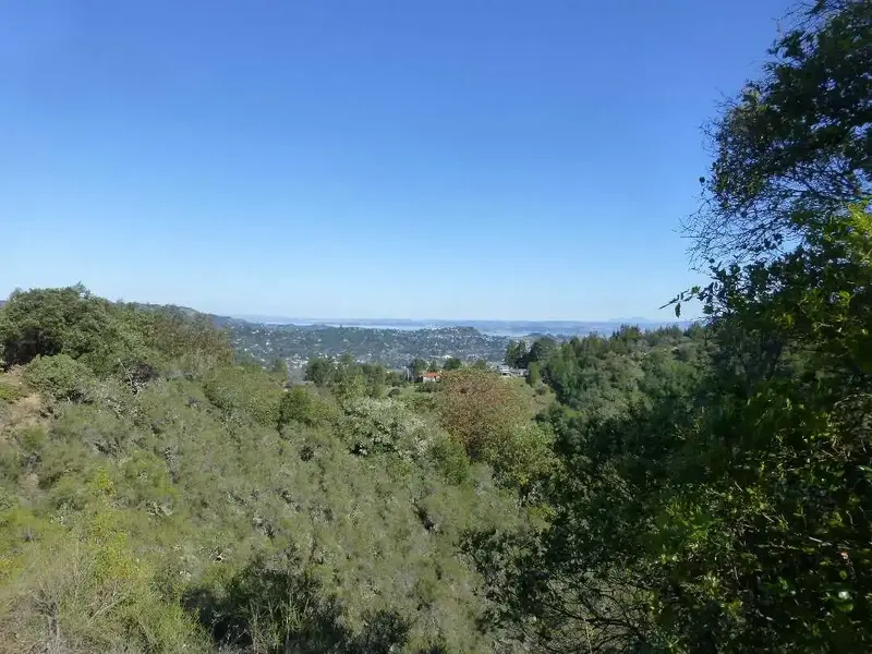 Bayview.webp