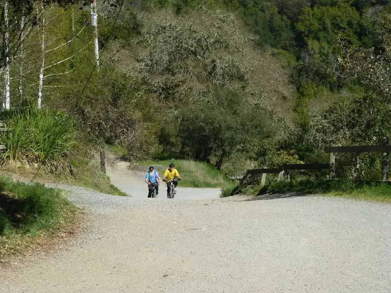 Climbing.webp