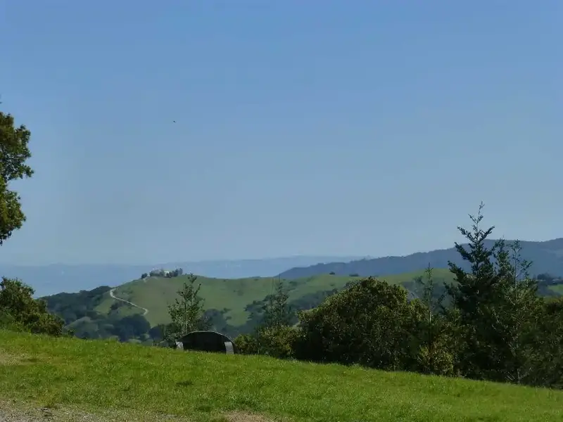Looking East.webp