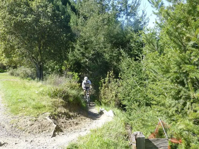 Broken Dam Trail.webp
