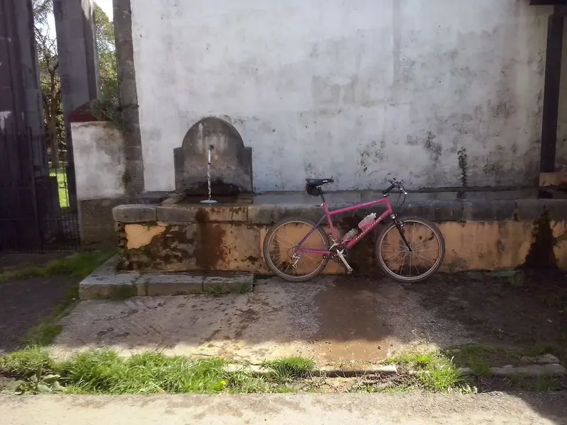 CAM01317.webp