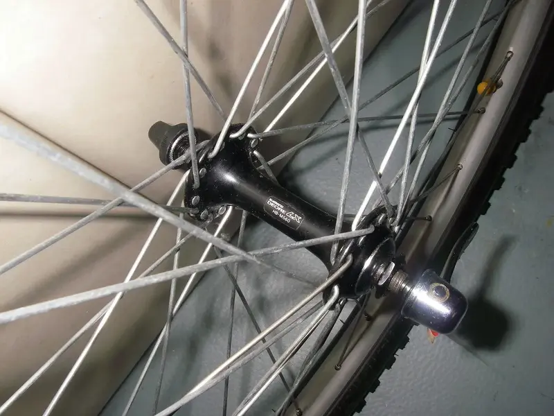 LX 40% 1.webp