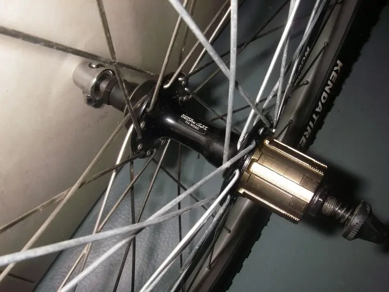 LX 40% 2.webp