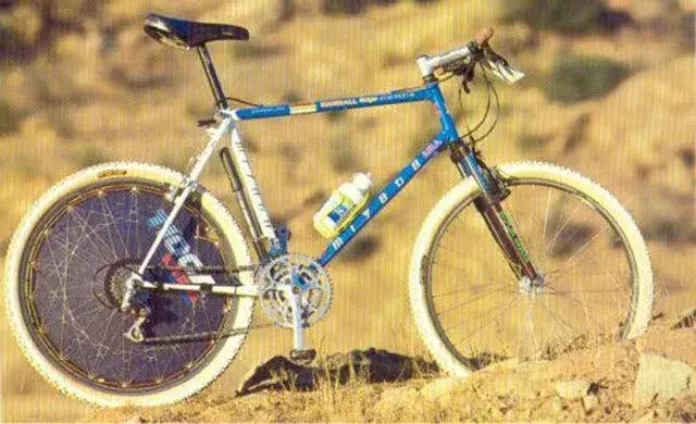 KogaMiyataRidgeRunnerde1989versinpa.webp