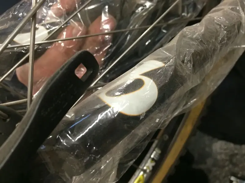B for Brodie.webp