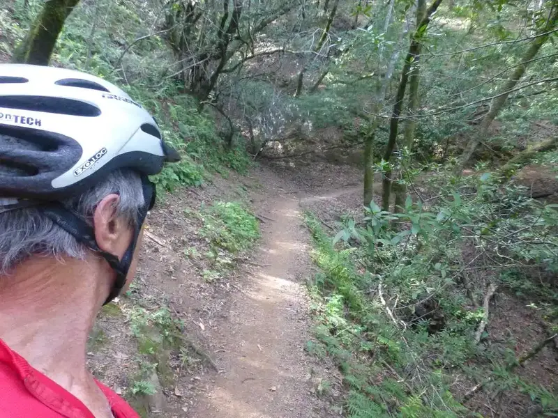 OG Trail.webp