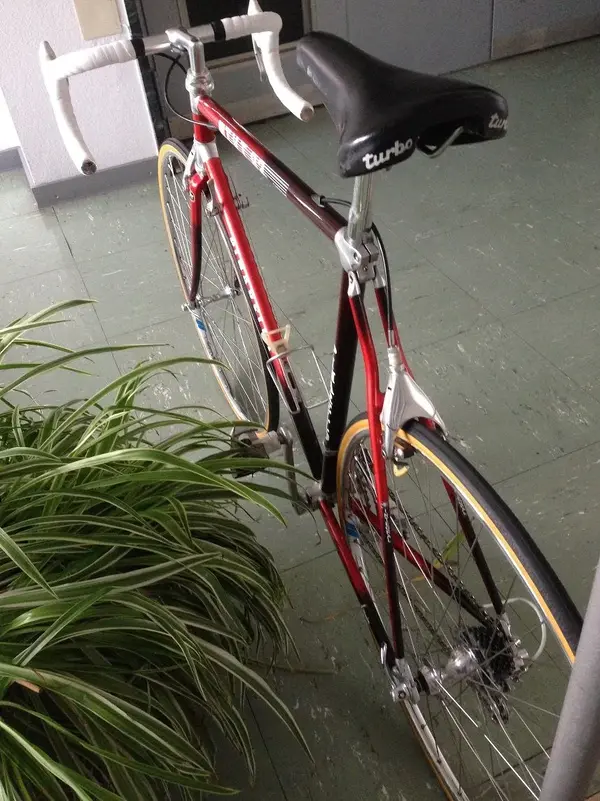 TVT92_Pinarello_rear.webp
