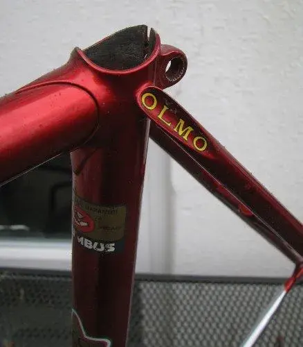 olmo5.webp