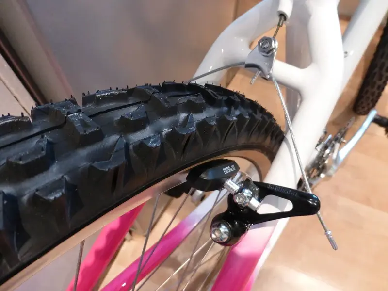 Rear Brake.webp