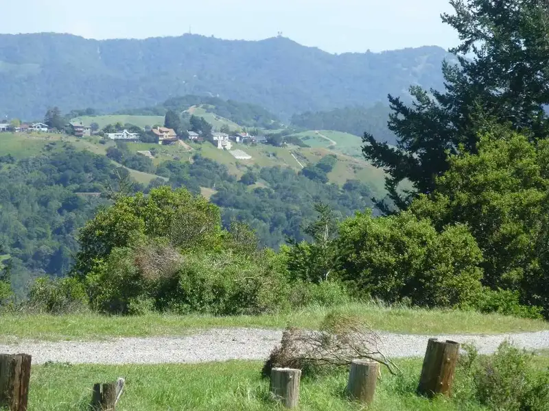 On the climb.webp