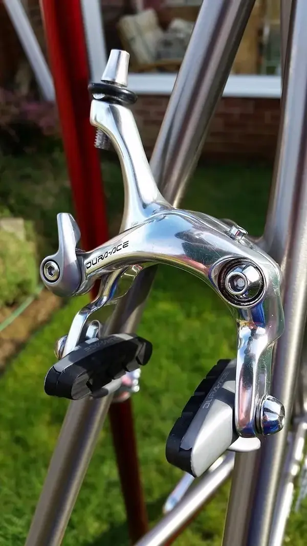 Rear Caliper.webp
