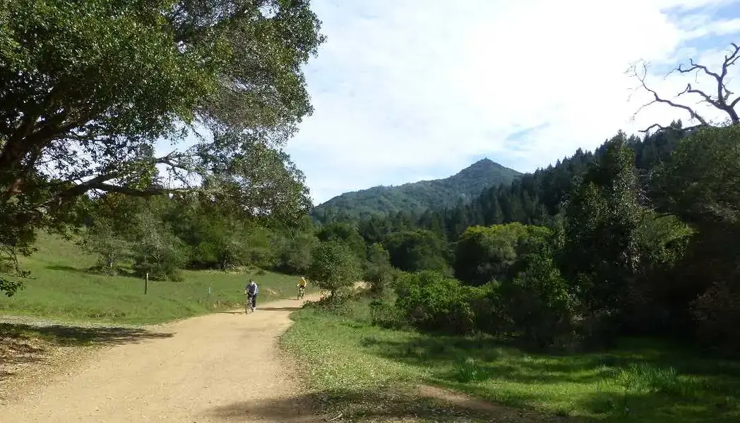 Near Lake Lagunitas.webp
