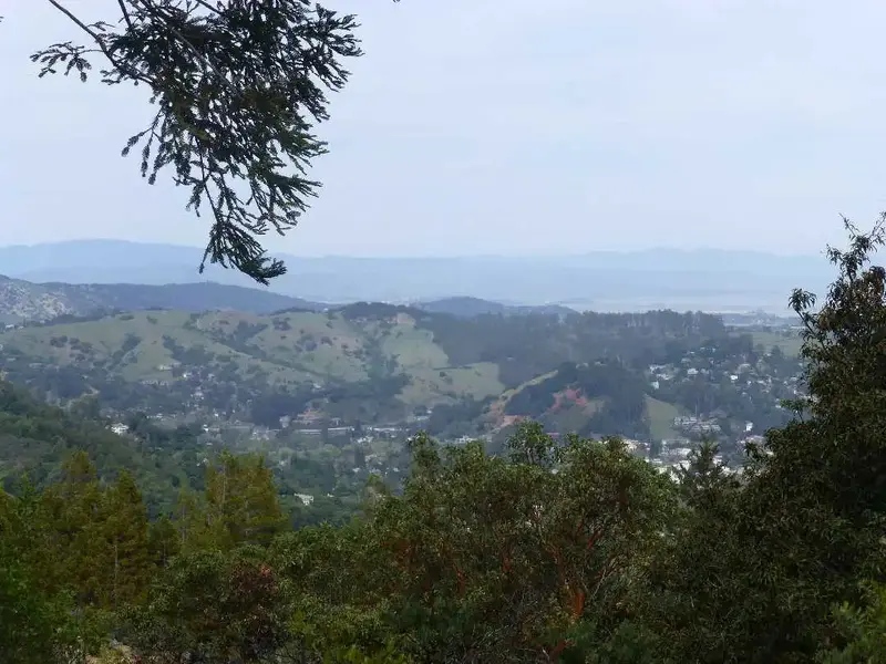 View North at 1000'.webp