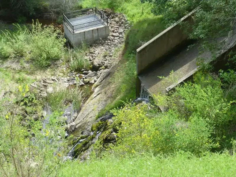 Phoenix lake spillway.webp