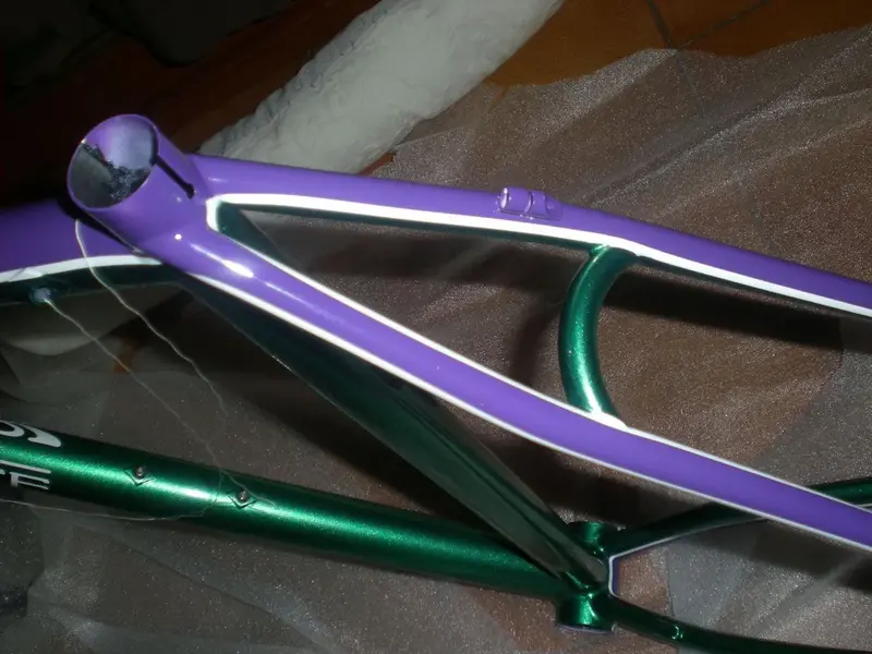 DSCN2439.webp