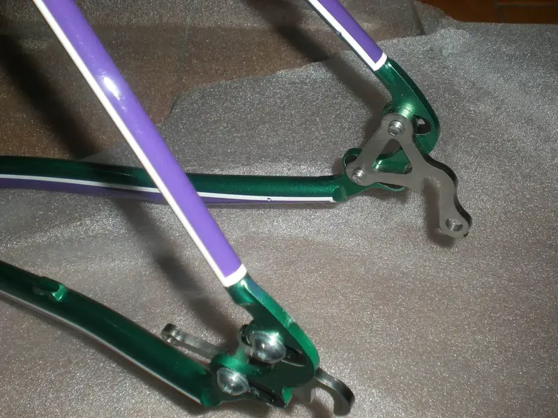 DSCN2442.webp