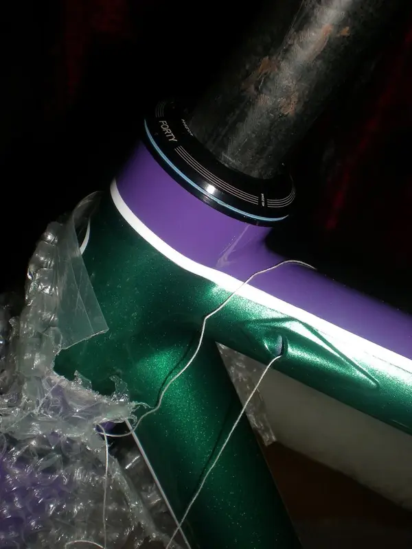 DSCN2449.webp