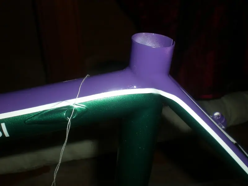 DSCN2451.webp
