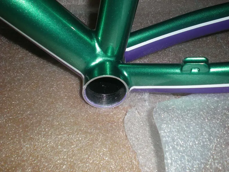 DSCN2437.webp