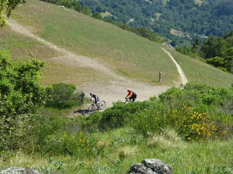 On the Tamarancho loop.webp