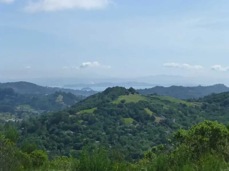 Looking East on the climb.webp